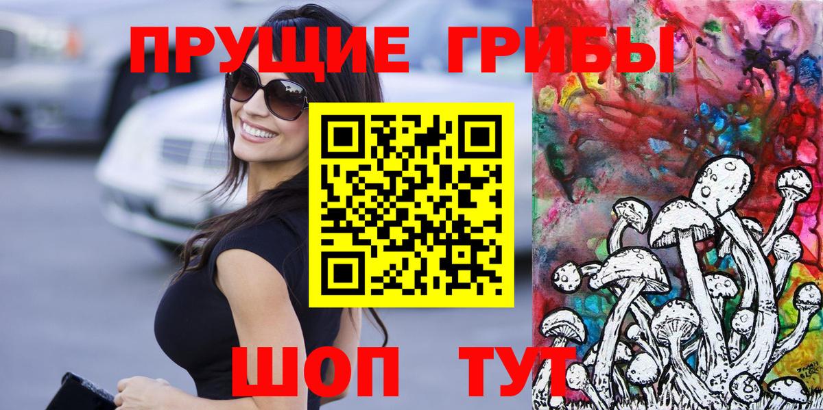 Псилоцибиновые грибы Psilocybe  купить наркотики цена  Псилоцибиновые грибы GOLDEN TEACHER  Липецк  Вход с VPN 
