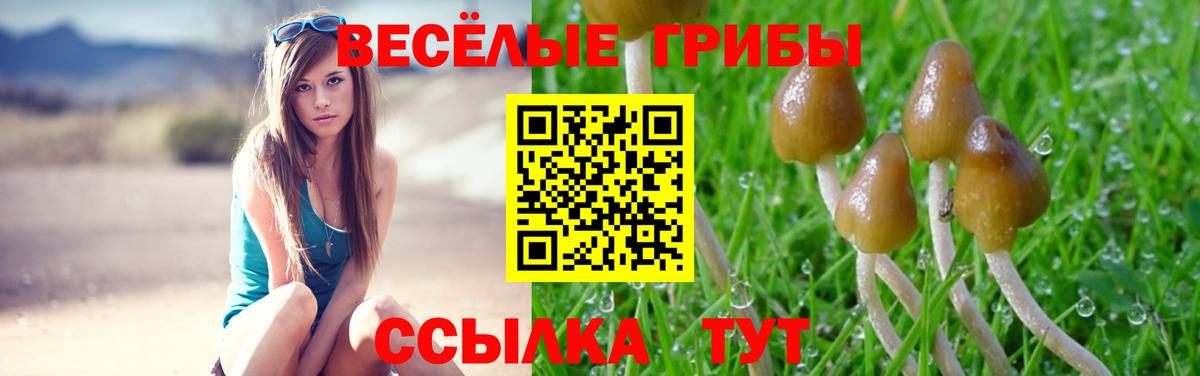Псилоцибиновые грибы мухоморы Липецк